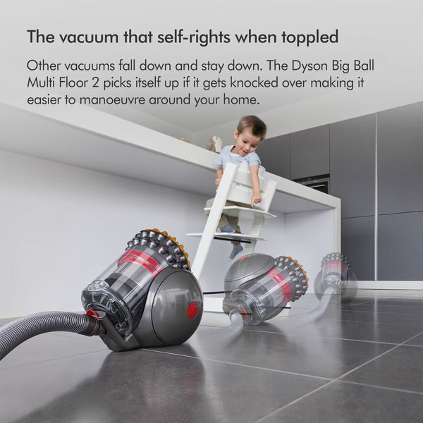 Dyson Big Ball Animal 2 Cylinder Vacuum