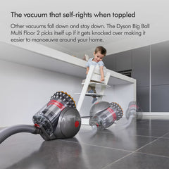 Dyson Big Ball Animal 2 Cylinder Vacuum