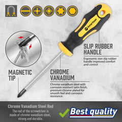 Amartisan 43pcs Magnetic Screwdriver Set with Case, Chrome Vanadium Steel, Includes Slotted, Phillips, Hex, Pozidriv, Torx & Precision Screwdrivers, Magnetizer/Demagnetizer, Flexible Shaft for Home Repair, DIY & Professional Use