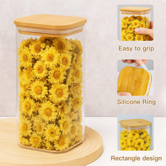 Glass Storage Jars with Lids Airtight Spaghetti Pasta Storage Container Kitchen Containers Clear Food Storage containers for Spaghetti Pasta Oats Cereal Rice