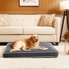 Waterproof Dog Bed, Plush Dog Mattress, Charcoal, Machine Washable, Medium & Large Sized, Cozy Dog Bed, Dog Sleeping Mattress