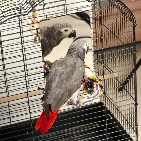 Colorday 9 Inch Stainless Steel Bird Mirror with Rope Perch, Bird Toys Swing, Comfy Perch for African Grey Parakeet Cockatiel Conure Lovebird Finch Canaries