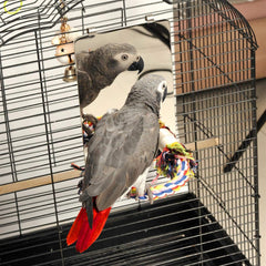 Colorday 9 Inch Stainless Steel Bird Mirror with Rope Perch, Bird Toys Swing, Comfy Perch for African Grey Parakeet Cockatiel Conure Lovebird Finch Canaries