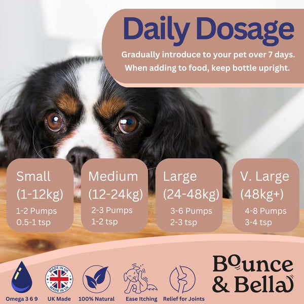 Scottish Salmon Oil for Dogs & Cats UK - Purity-Filtered Omega 3-6-9 Fish Oil Supplement, 500ml, Bounce and Bella