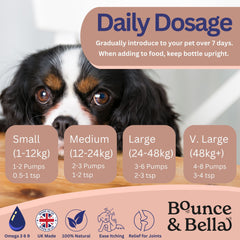 Scottish Salmon Oil for Dogs & Cats UK - Purity-Filtered Omega 3-6-9 Fish Oil Supplement, 500ml, Bounce and Bella