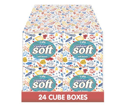 Cushion Soft 2-Ply Facial Tissues 24 Pack 100 Sheets per Box Regular Cube