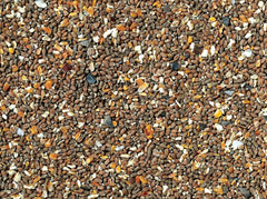 J & J Corn with Extra Oyster Shell Chicken Food 5kg Nutritious Poultry Feed For Strong Shells