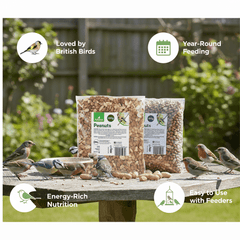 Natural Peanuts for Wild Birds – High Energy Bird Feed Ideal for Garden Feeding, Suitable for Feeders and Tables, Available in 400g Packs