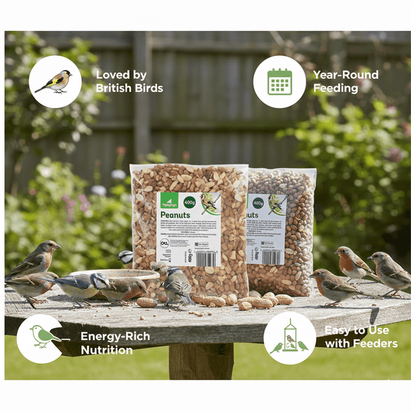 Natural Peanuts for Wild Birds High Energy Bird Feed Ideal for Garden Feeding, Suitable for Feeders and Tables, Available in 400g Packs