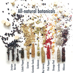 DO YOUR GIN L DIY Gin-Making Infusion Kit | Cocktail Kit | Bartender Gift Basket | Birthday Gifts for Men, Women for Him & Her | Alcohol Gift | 12 Botanicals, Bottles & Recipes