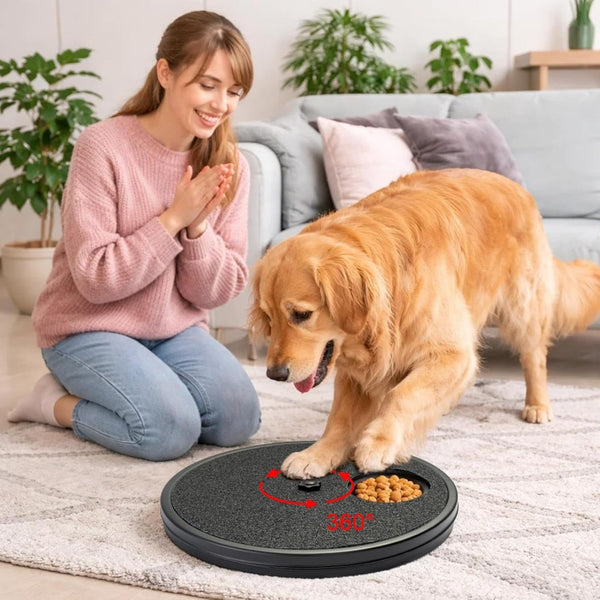Multifunctional Dog Nail Scratch Pad Dog Nail Grinder Alteractive, Interactive Dog Food Dispenser Plate Toy, Dog Training Plate Bowl
