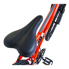 Falcon Neutron Junior Mountain Bike 24