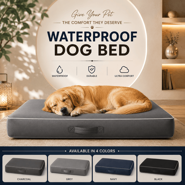 4B Waterproof PetRest Dog Bed Soft Washable Pet Cushion for Small Medium and Large Dogs Indoor Use