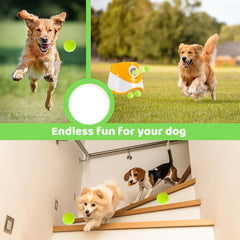 [Automatic Dog Ball Launcher] Automatic Dog Ball Launcher with 3 ETPU Durable Balls, 3 Adjustable Distances (9.8ft/19.7ft/29.5ft), Rechargeable with USB Charging Cable | Interactive Toy for Small and Medium Dogs, Intelligence Training and Simulation