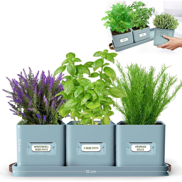 Herb Pots for Kitchen Windowsill - Set of Herb Planter Indoor with Leather Handled Tray - Ideal for an Indoor Herb Garden, Plants and Flowers - Labels Included
