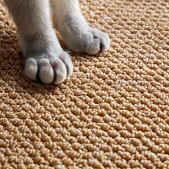 Cat Scratching Pad Carpet Rug for Sofa Couch Furniture, Cat Scratching Mat, 4 Sizes Available