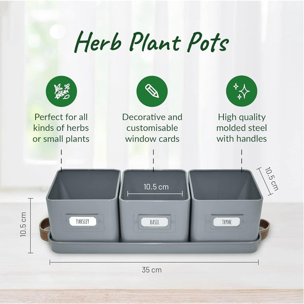 Herb Pots for Kitchen Windowsill - Set of Herb Planter Indoor with Leather Handled Tray - Ideal for an Indoor Herb Garden, Plants and Flowers - Labels Included