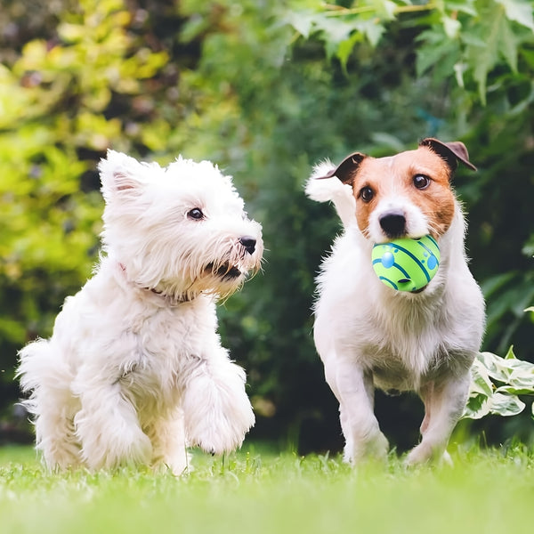 Engaging Giggle Ball Designed for Both Dogs And Cats - A Pet Puzzle Toy That Produces Distinctive Giggling Noises - Sturdy Chew Toy to Alleviate Boredom - Made from Safe Vinyl - Measures 12.95 cm, Without Battery