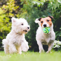 Engaging Giggle Ball Designed for Both Dogs And Cats - A Pet Puzzle Toy That Produces Distinctive Giggling Noises - Sturdy Chew Toy to Alleviate Boredom - Made from Safe Vinyl - Measures 12.95 cm, Without Battery