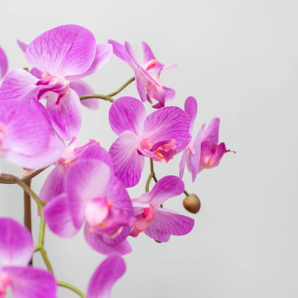 Artificial Orchid in Ceramic Pot in Pink
