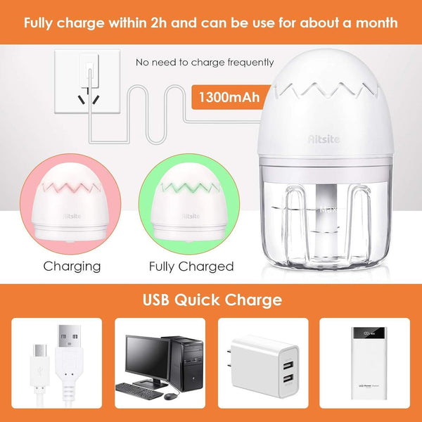 Mini Electric Food Chopper 250ML – Portable Garlic Chopper, Onion Cutter and Small Food Processor for Home or Travel