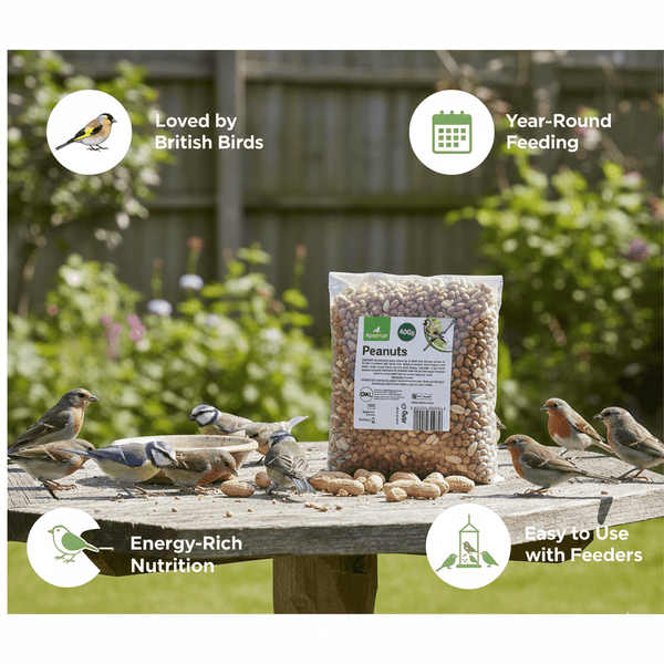 Natural Peanuts for Wild Birds High Energy Bird Feed Ideal for Garden Feeding, Suitable for Feeders and Tables, Available in 400g Packs