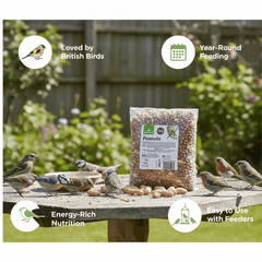 Natural Peanuts for Wild Birds High Energy Bird Feed Ideal for Garden Feeding, Suitable for Feeders and Tables, Available in 400g Packs