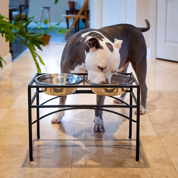 Elevated Double Dog Bowls Feeder with Stainless Steel Water and Food Dishes for Dogs, Pet Feeder, Food Bowl, Two