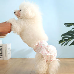 Dog Nappies, 10 PCS Female Pet Dog Cat Nappies Set, Disposable Sanitary Wraps Panties for Dog 0.5 - 32kg, Nappies Super Absorbent, 5 Size Diapers for Urinary Incontinence Dog