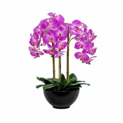 Artificial Orchid in Ceramic Pot in Pink