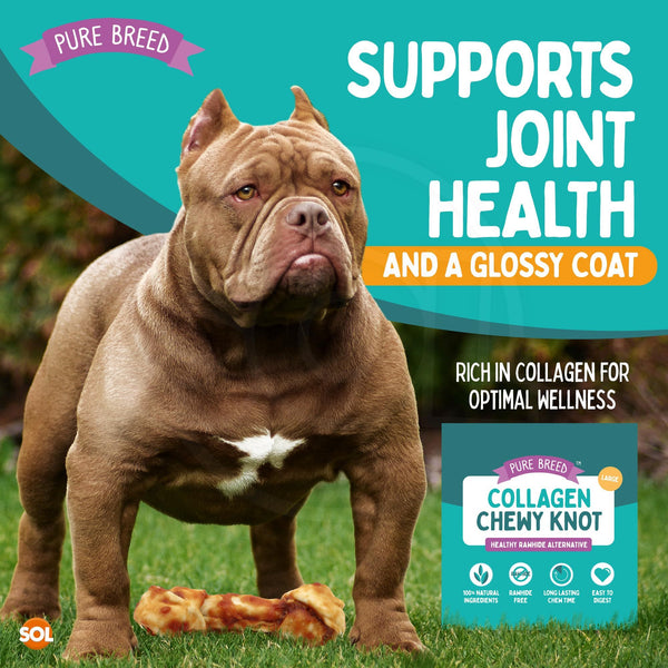 Pure Breed Large Collagen Dog Chewy Knots 4 Pack | Rawhide-Free Chicken Dog Treats | Long-Lasting Collagen Chews for Large Dogs | Healthy, Easy to Digest Holiday Pet Snacks | High-Protein Dog Gift