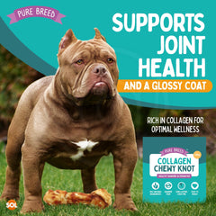 Pure Breed Large Collagen Dog Chewy Knots 4 Pack | Rawhide-Free Chicken Dog Treats | Long-Lasting Collagen Chews for Large Dogs | Healthy, Easy to Digest Holiday Pet Snacks | High-Protein Dog Gift