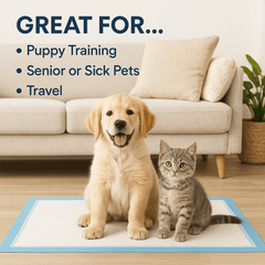 50 x ALIA Pet Training Pads | Dog Training Pads | Super Absorbent Puppy Pee Pads, Leak-Proof, Quick-Dry, Odor Control | Disposable Potty Pads for Dogs & Puppies 56 x 56 cms | 1 Pack of 50