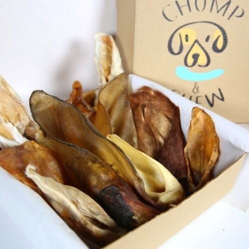 All Ears Chomper Box®