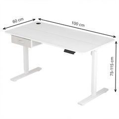 Electric Standing Desk, Sit Stand Table, Height Adjustable Electric Standing Computer Desk with USB Charging Port and Desk Drawer for Home Office