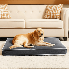 Waterproof Dog Bed, Plush Dog Mattress, Charcoal, Machine Washable, Medium & Large Sized, Cozy Dog Bed, Dog Sleeping Mattress