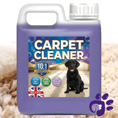 Pet Carpet Cleaning Shampoo Solution Stain Odour Remover Extra Tough On Stains (1 Litre)