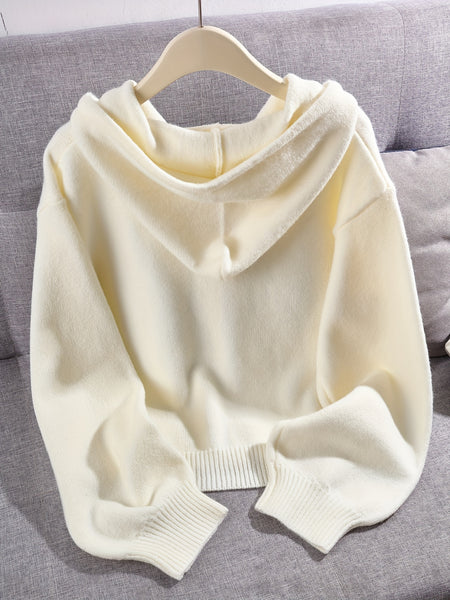 Cardigan Hooded Sweater for Women, Unique Niche Style Top, Gavin