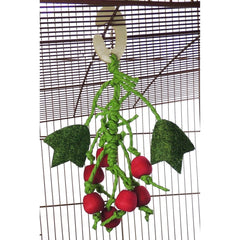 Berry Nibbler Hanging Toy for Small Animals – Hamsters, Rabbits & Guinea Pigs