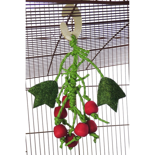 Berry Nibbler Hanging Toy for Small Animals – Hamsters, Rabbits & Guinea Pigs
