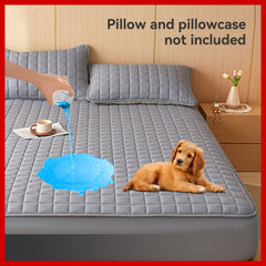 1pc Multicolor Mattress Protector, No Pillowcase And Insert Included, Soft Comfort Solid Color Fitted Sheet Bedding Cover, Minimalist Breathable Bedspread Suitable For Bedroom And Guest Room, Reusable Underpads