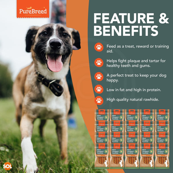 Pure Breed 100pk Chicken Wrapped Dog Treats | Twist Rawhide Sticks for Training, Reward & Chewing | Low Fat, High Protein Long-Lasting Dog Chews | Perfect Puppy Treats & Christmas Pet Gifts