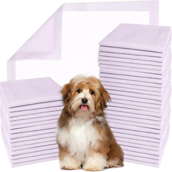 100Pcs Thick, Odor-Controlling Disposable Diapers for Dogs And Cats, Designed to Absorb Urine Effectively