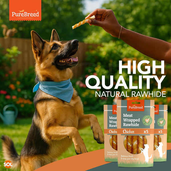 Pure Breed 50 Pack Chicken Dog Treats | Rawhide Twist Chew Sticks for Dogs & Puppies | Meaty Twist Dog Chews in Savoury Chicken Flavour | Low Fat, High Protein Dog Snacks | Long Lasting Puppy Chews for Training Rewards, Travel & Boredom Busting Indoor or