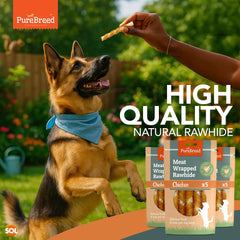 Pure Breed 50 Pack Chicken Dog Treats | Rawhide Twist Chew Sticks for Dogs & Puppies | Meaty Twist Dog Chews in Savoury Chicken Flavour | Low Fat, High Protein Dog Snacks | Long Lasting Puppy Chews for Training Rewards, Travel & Boredom Busting Indoor or