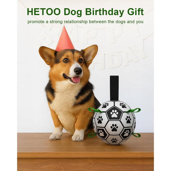 Dog Fetch Ball with Grab Straps for Small and Medium Dogs Durable Pet Play Ball for Outdoor Training Water Play and Daily Exercise