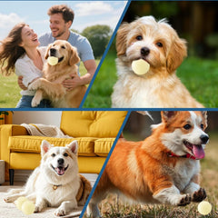 Glow-In-The-Dark Rubber Dog Ball - Durable, Bite-Resistant Chew Toy Suitable for All Breeds - Interactive Play And Dental Health, Medium Size, Battery-Free, Play Toy | Interactive Dog Toy | Durable Dog Toy, No Batteries Required