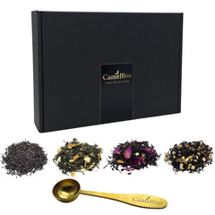 Tea Sampler Gift Set with Measuring Spoon – 4 Premium Loose Leaf Blends (4 × 25g, 40+ Cups) – English Breakfast, Earl Grey, Spiced Apple Chai & Jasmine Mint Green Tea – Luxury Gift Box
