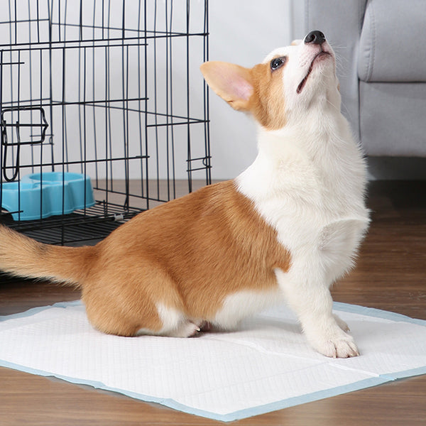 Puppy Pads Pack of 40 Pee Pads for Dogs Potty Training with Leak-Proof Quick-Dry Design Multi-Layer Puppy Training Pads Pack of 20 XL-size 90x60cm