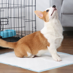 Puppy Pads Pack of 40 Pee Pads for Dogs Potty Training with Leak-Proof Quick-Dry Design Multi-Layer Puppy Training Pads Pack of 20 XL-size 90x60cm
